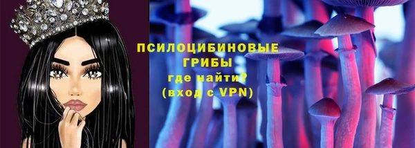 прущие грибы Алексин