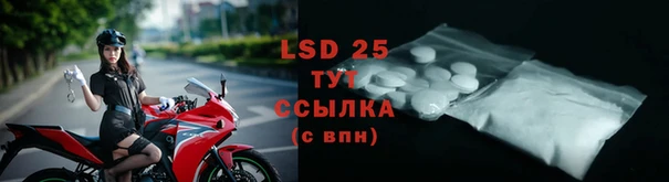 прущие грибы Алексин